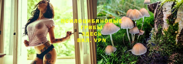 мет Армянск