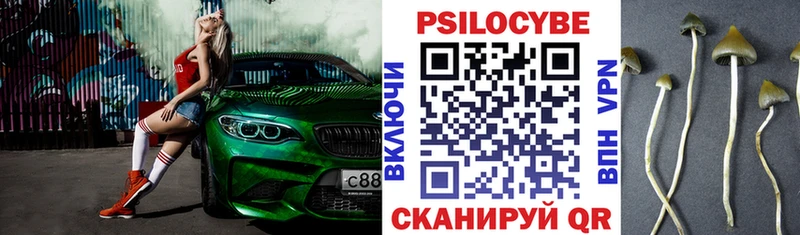 Галлюциногенные грибы Psilocybe  Липки 